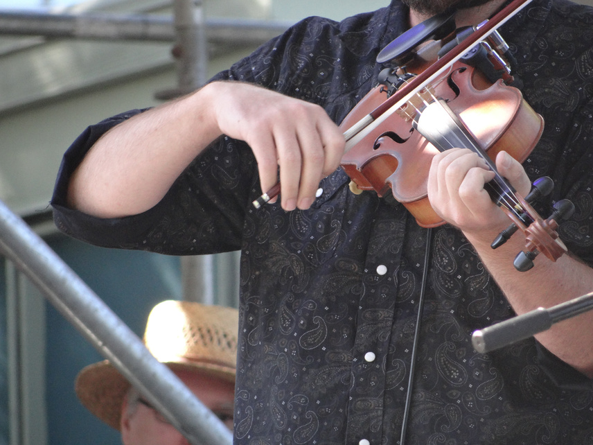 Fiddle Player at the Blues Festival